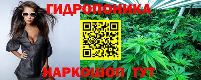 мяу мяу мука Кандалакша