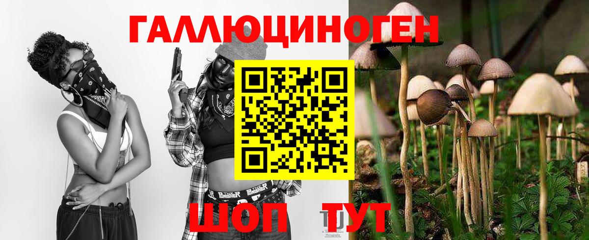 Галлюциногенные грибы GOLDEN TEACHER  Вход с VPN  Комсомольск-на-Амуре 